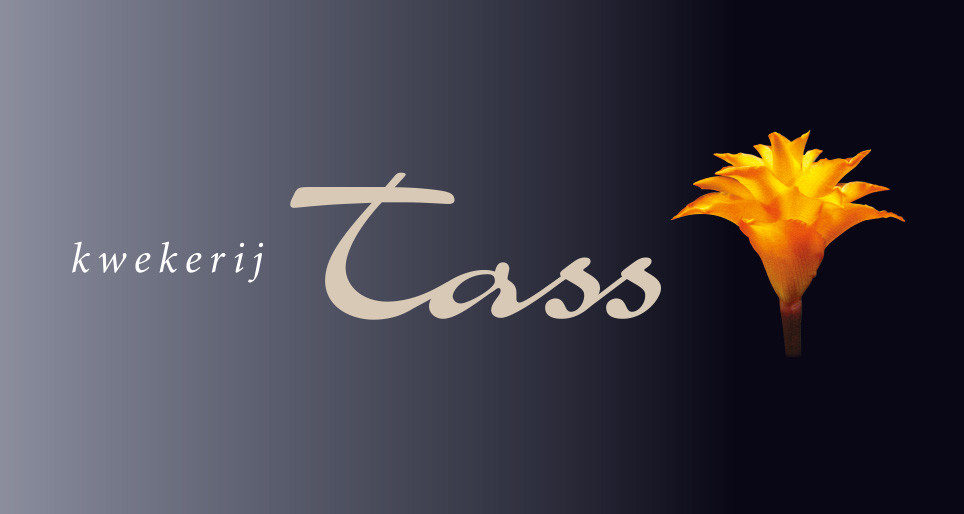 Kwekerij Tass logo2005